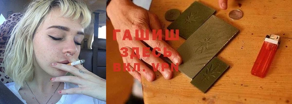 твердый Краснослободск