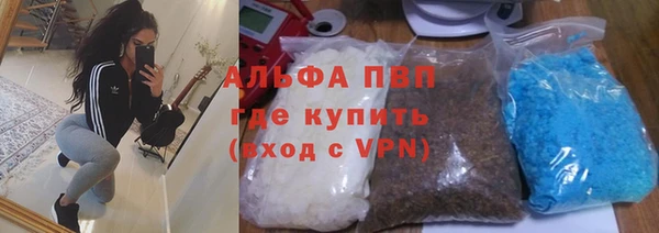 твердый Краснослободск