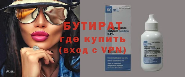твердый Краснослободск