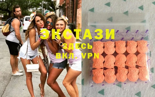 твердый Краснослободск