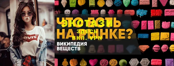 твердый Краснослободск