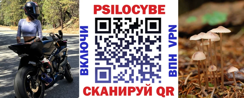 Галлюциногенные грибы ЛСД  Купить где  Новотитаровская 